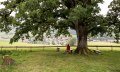 Ort der Besinnung © Tourismus Hörnerdörfer, F. Kjer