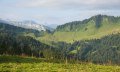 Am Gelbhansekopf in Balderschwang © Tourismus Hörnerdörfer, G. Eichholzer