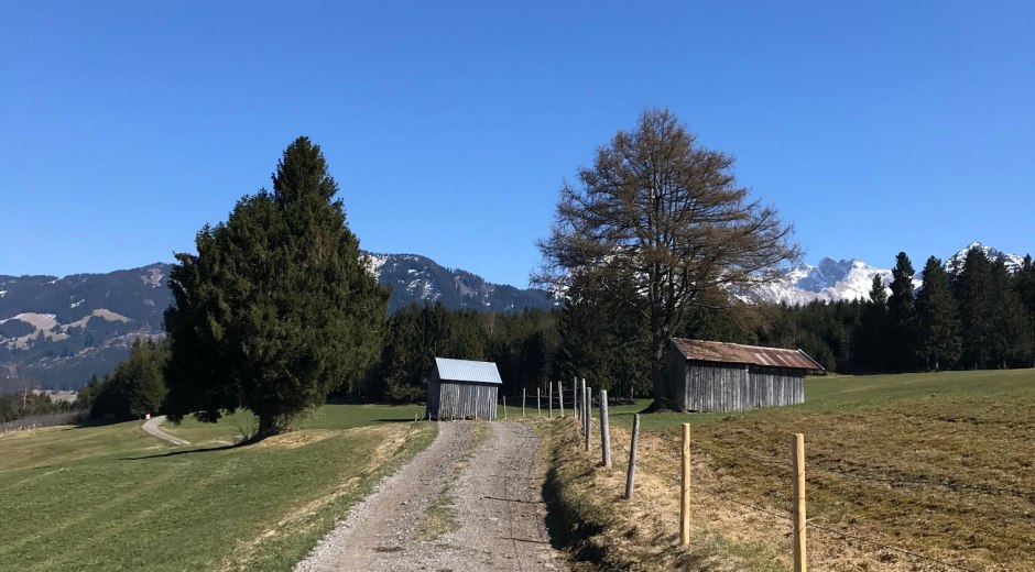 Gut präparierte Wege führen nach Oberdorf © Tourismus Hörnerdörfer, L. Renn