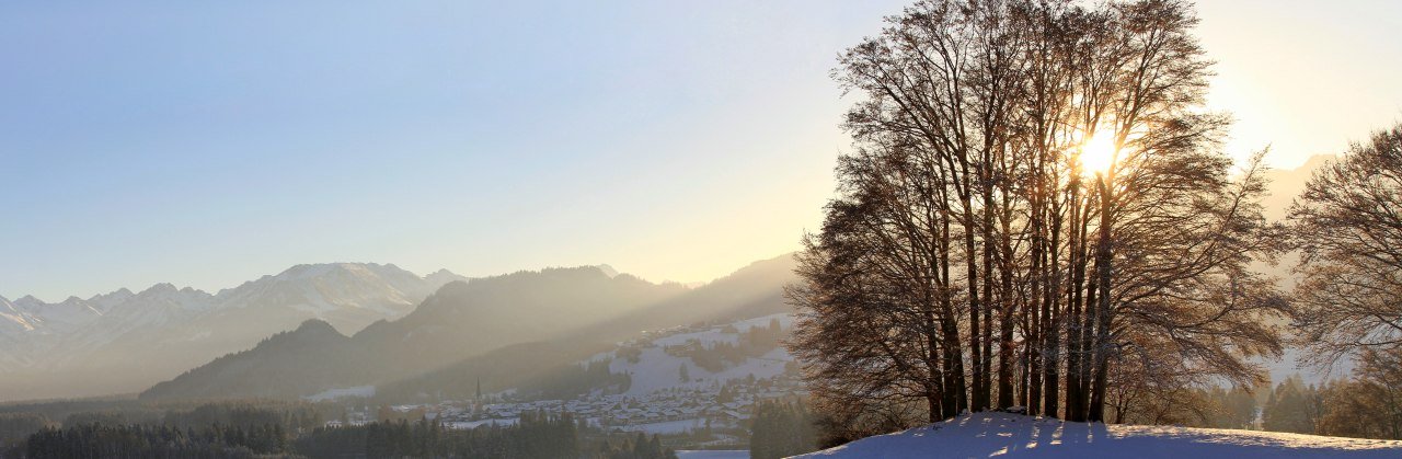 Ausschnitt aus Winterpanorama mit Blick in die Alpen © Dominic Ultes