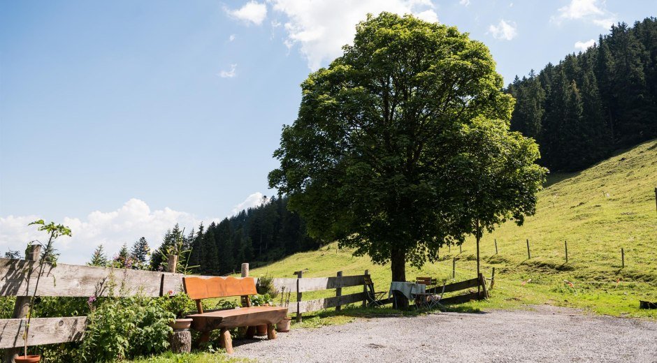 Die Herzberg Alpe liegt auf 1.200 m Höhe © Tourismus Hörnerdörfer, F. Kjer