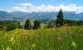 Blumen- und Käuterwiesen oberhalb Hüttenberg mit traumhafter Aussicht © Tourismus Hörnerdörfer GmbH