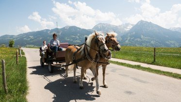 Genießen Sie eine angenehme Kutschfahrt mit Fra... Genießen Sie eine angenehme Kutschfahrt mit Fra...