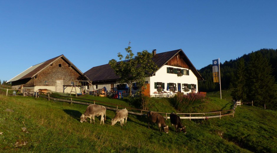 Alpe Schönberg am Fuße des Beslers © Tourismus Hörnerdörfer, Eberle T.