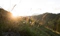 Zauberhafte Momente im Bergsommer der Allgäuer Hörnerdörfer © Tourismus Hörnerdörfer, F. Kjer