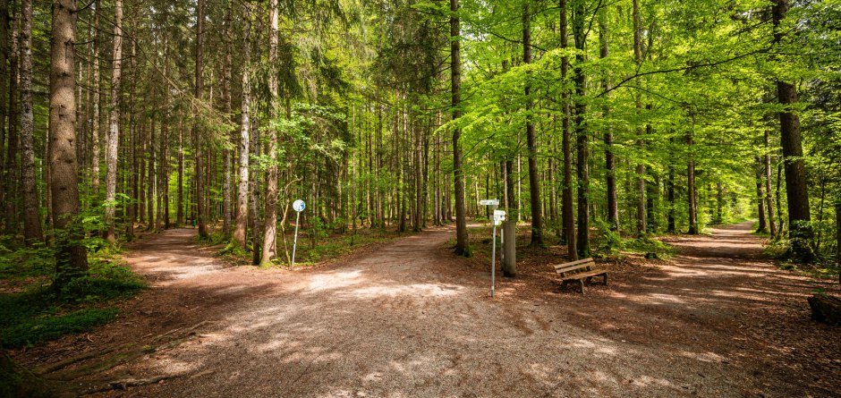 Waldbaden in Fischen im Allgäu © Tourismus Hörnerdörfer