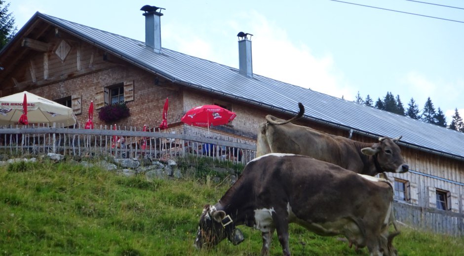 Alpe Ornach © Tourismus Hörnerdörfer, S. Salzberger