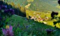 Wandern auf Wegen um Balderschwang © Tourismus Hörnerdörfer