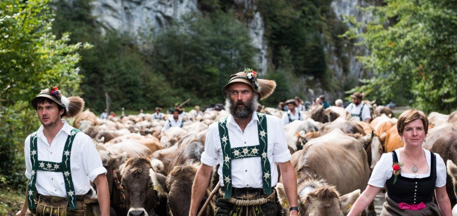 Viehscheid Obermaiselstein © Tourismus Hörnerdörfer