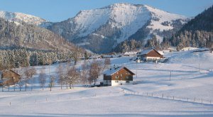 Steibisim Winter neu