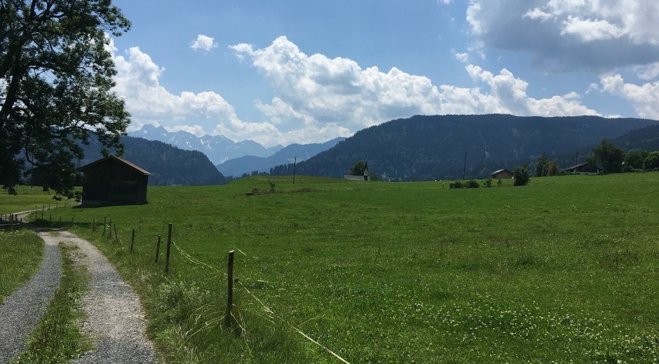 Weg zurück nach Bolsterlang