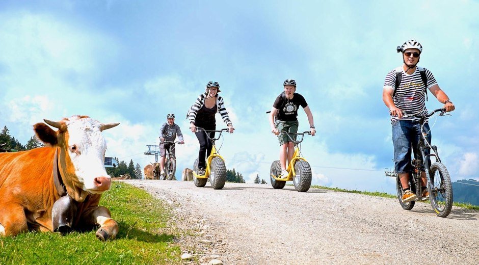 Downhill Roller in Ofterschwang im Allgäu © Tourismus Hörnerdörfer, ProVisionMedia