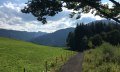 Grüner Weg © Tourismus Hörnerdörfer, L. Renn
