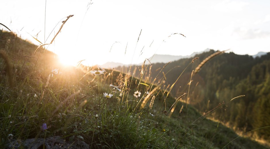 Zauberhafte Momente im Bergsommer der Allgäuer Hörnerdörfer © Tourismus Hörnerdörfer, F. Kjer