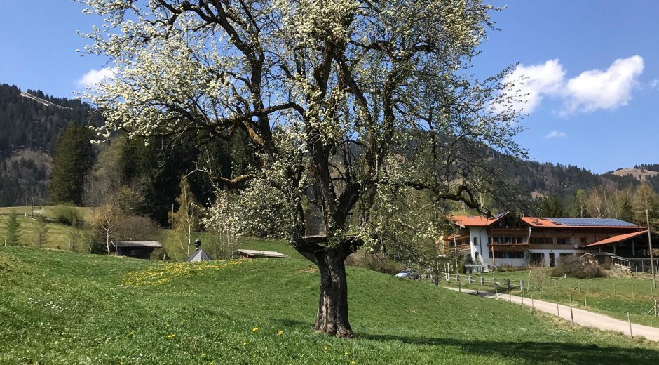 Ortsteil Riedle © Tourismus Hörnerdörfer GmbH