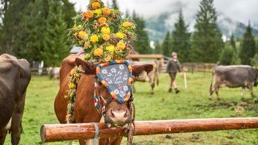 Meurers_Herbst_2017_0533 © Meurer