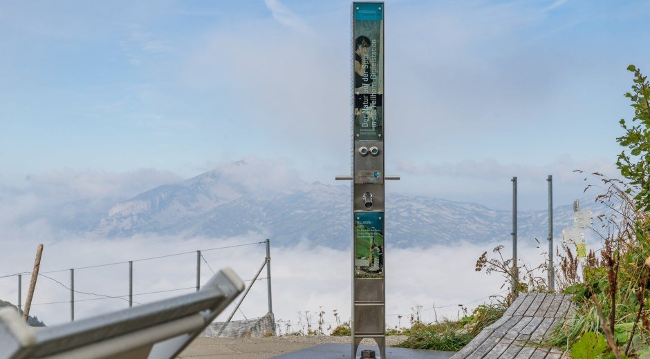 Bergschau Gipfelstation Fellhorn