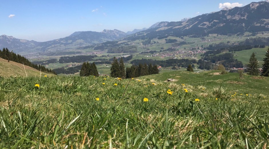 Blick auf die gegenüberliegenden Sonnenköpfe