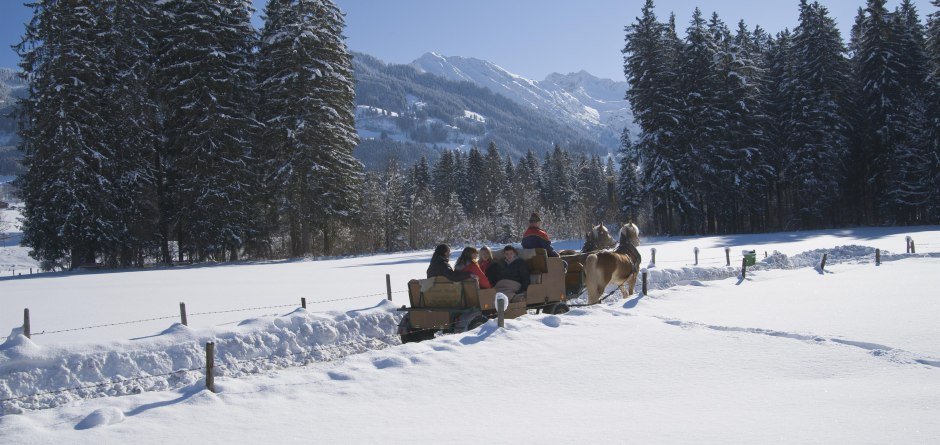 Kutschfahrt © Tourismus Hörnerdörfer, R. Retzlaff