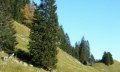 An den Bergen entlang führt unsere Tour. © Tourismus Hörnerdörfer, MA