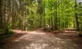 Ruhe und Genuss im Eichhörnchenwald © Tourismus Hörnerdörfer GmbH