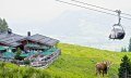 Weltcup-Hütte und Weltcup-Express in Ofterschwang © Tourismus Hörnerdörfer, ProVisionMedia