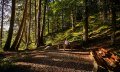 Ruhebänke beim magischen Ort "Iller" © Tourismus Hörnerdörfer, F. Kjer