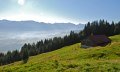 Aussicht auf den Allgäuer Hauptkamm © Tourismus Hörnerdörfer, MA