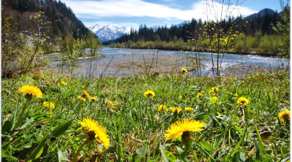 Blick vom Ende des Sees auf die Iller im Frühling © Tourismus Hörnerdörfer GmbH