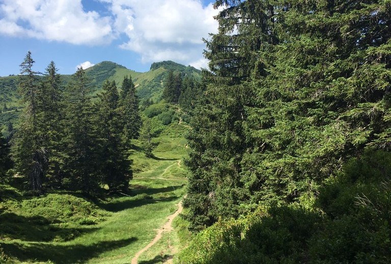 Blick zum Riedbergerhorn