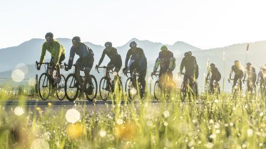 Mehrere Radsportler fahren mit dem Fahrrad ein Rennen. Im Hintergrund sieht man die Silhouette der Allgäuer Alpen. © ueberall.Deutschland