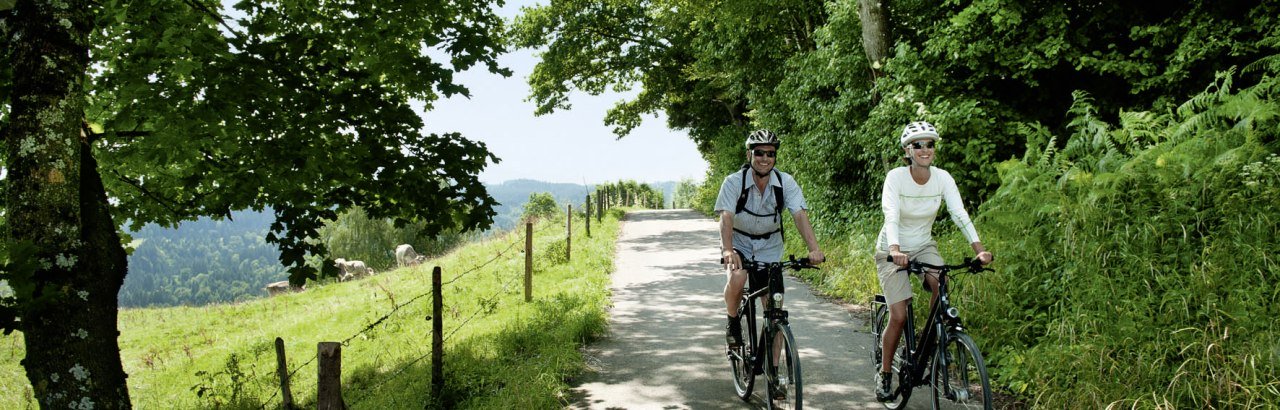 Radler am Niedersonthofener See © Allgäu GmbH