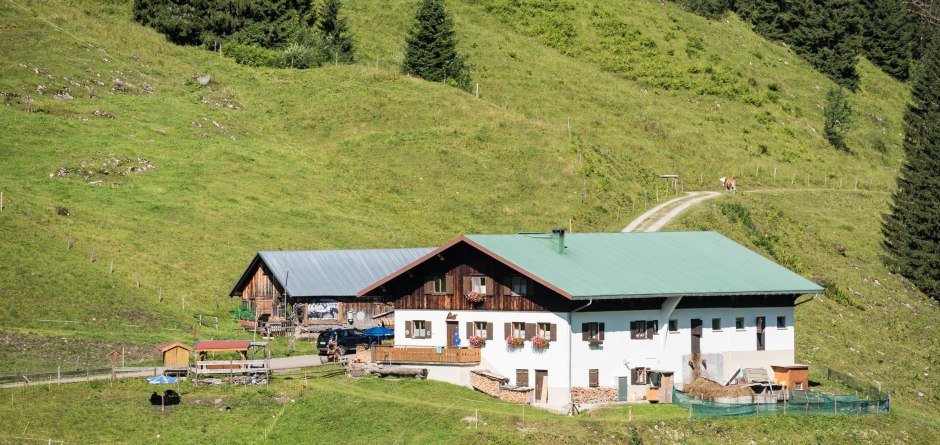 Alpe Dinjörgen © Tourismus Hörnerdörfer, F. Kjer
