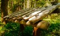 Das Waldxylophon - wie hört sich Holz an? © Tourismus Hörnerdörfer, M. Redecker