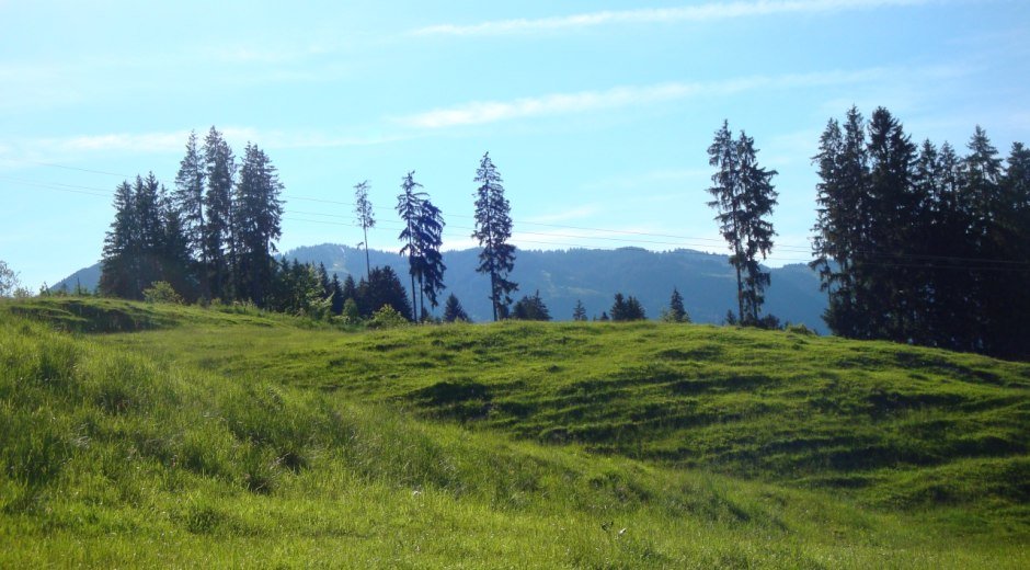 Weg zwischen Aumühle und Maderhalm © Tourismus Hörnerdörfer, MA