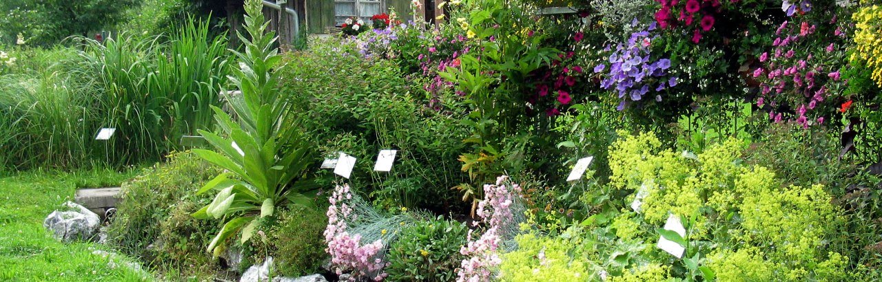 große Blumen- und Pflanzenvielfalt im Kreislehrgarten Sulzberg-Ried © Markt Sulzberg