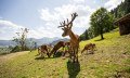 Alpenwildpark, Hirsche - Obermaiselstein im Allgäu © Tourismus Hörnerdörfer GmbH