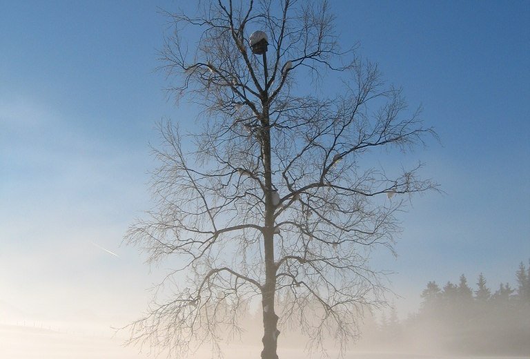 Winterlandschaft im Allgäu © Tourismus Hörnerdörfer, M. Redecker