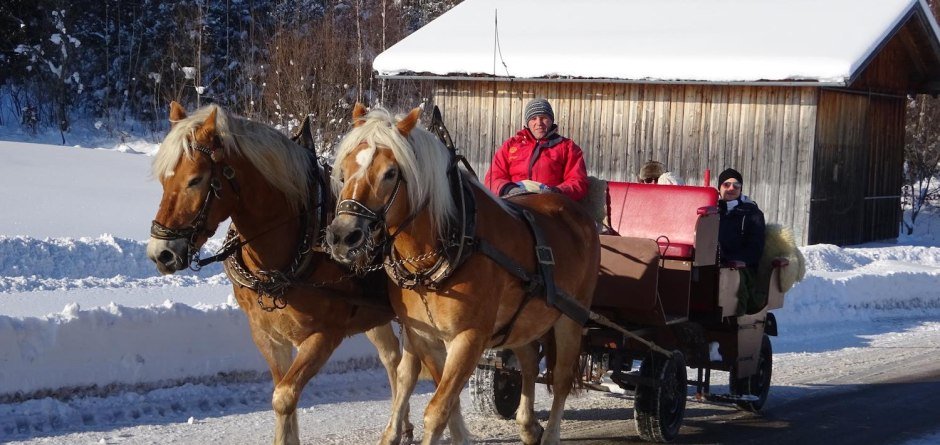 Pferdekutschfahrt rund um Bolsterlang © Tourismus Hörnerdörfer