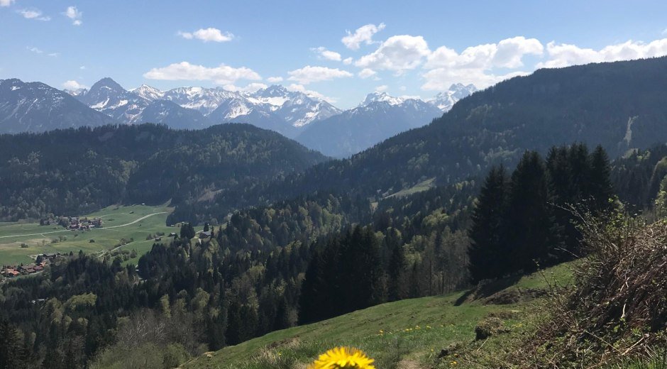 Blick in die Oberstdorfer Berge © Tourismus Hörnerdörfer, L. Renn