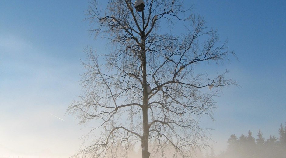 Winterwandern Tiefenberger Moos