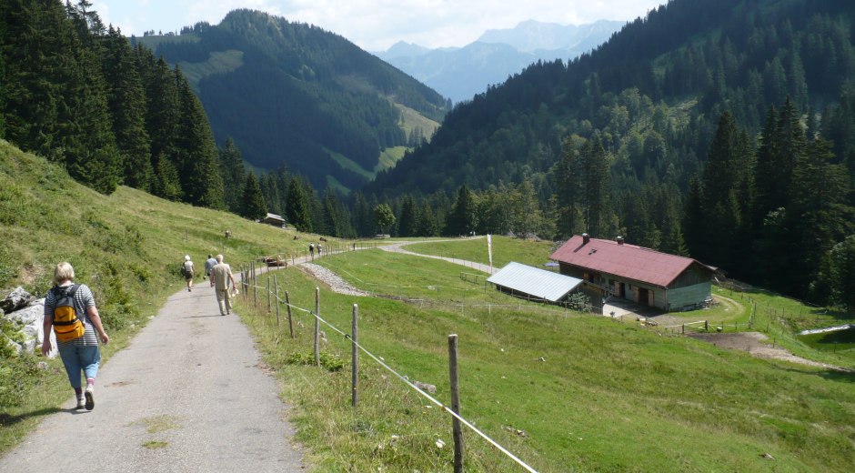 Alpe Bolgen und gleichnamiges Tal © Tourismus Hörnerdörfer, MA
