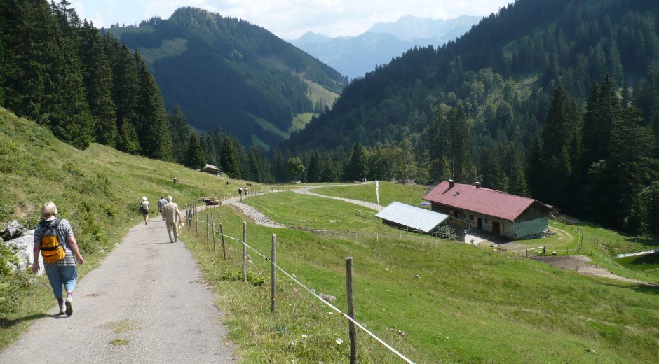 Alpe Bolgen und gleichnamiges Tal © Tourismus Hörnerdörfer, MA