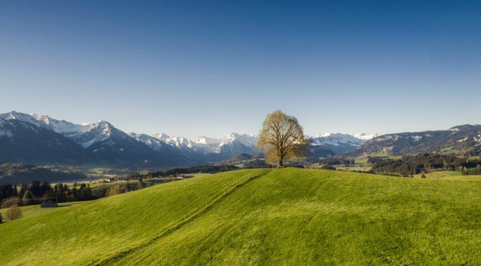 Wittelsbacher höhe bei Ofterschwang im Frühling