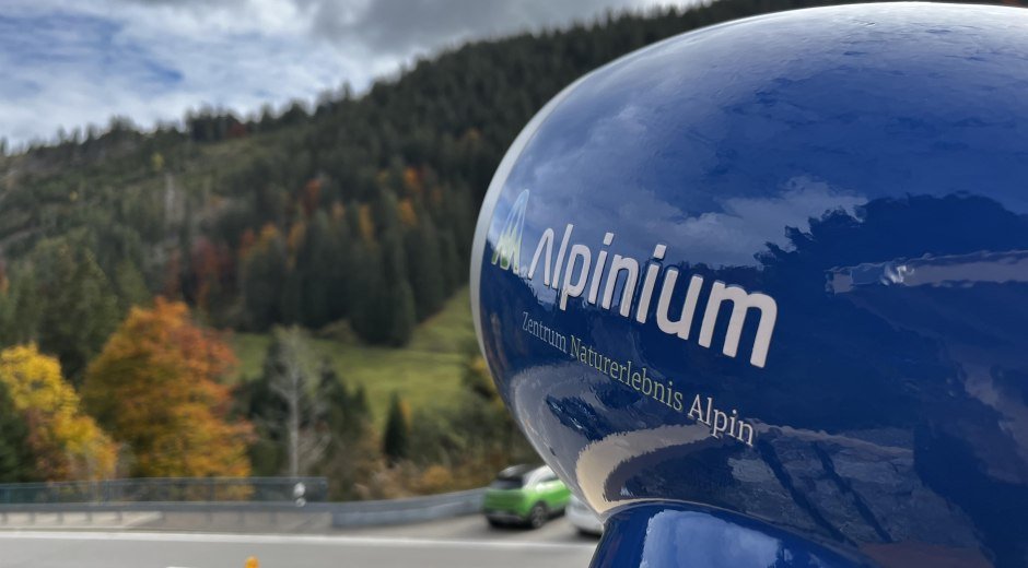 Beobachtungsstation am Riedbergpass © Tourismus Hörnerdörfer