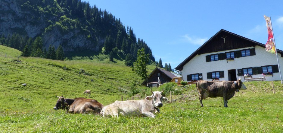 Alpwanderung in Obermaiselstein © Tourismus Hörnerdörfer