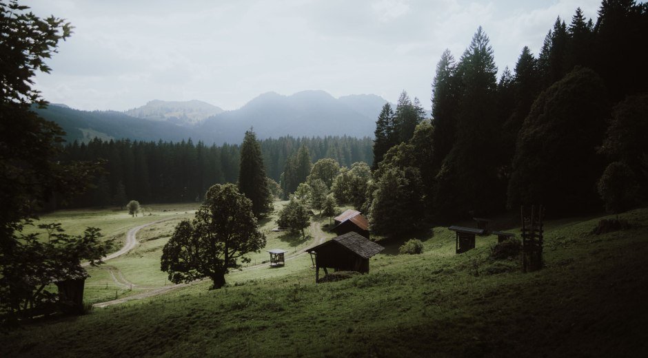 Gunzesrieder Tal © Allgäu GmbH, Wanderlustallgaeu