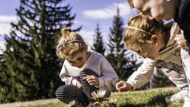 Auf Erkundungstour durch die Natur © Oberstaufen Tourismus Marketing GmbH, Moritz Sonntag Auf Erkundungstour durch die Natur © Oberstaufen Tourismus Marketing GmbH, Moritz Sonntag