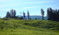 Weg zwischen Aumühle und Maderhalm © Tourismus Hörnerdörfer
