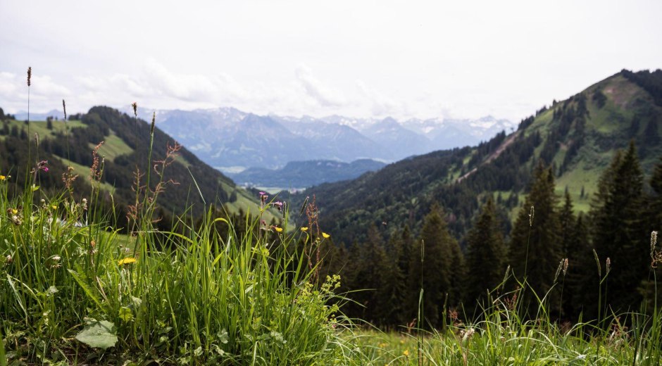 Berghaus Schwaben - Bolsterlang © Tourismus Hörnerdörfer, F. Kjer